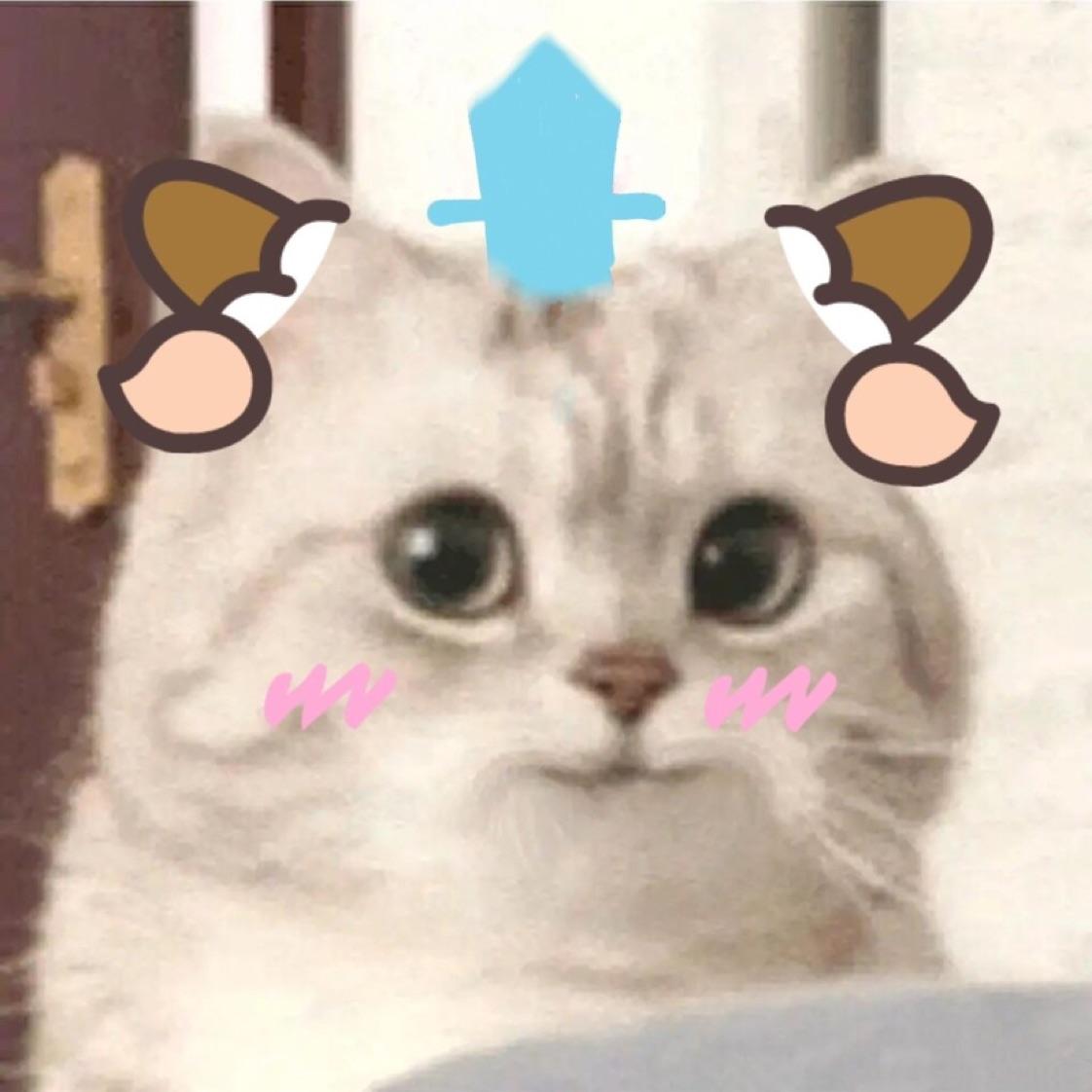 小羊