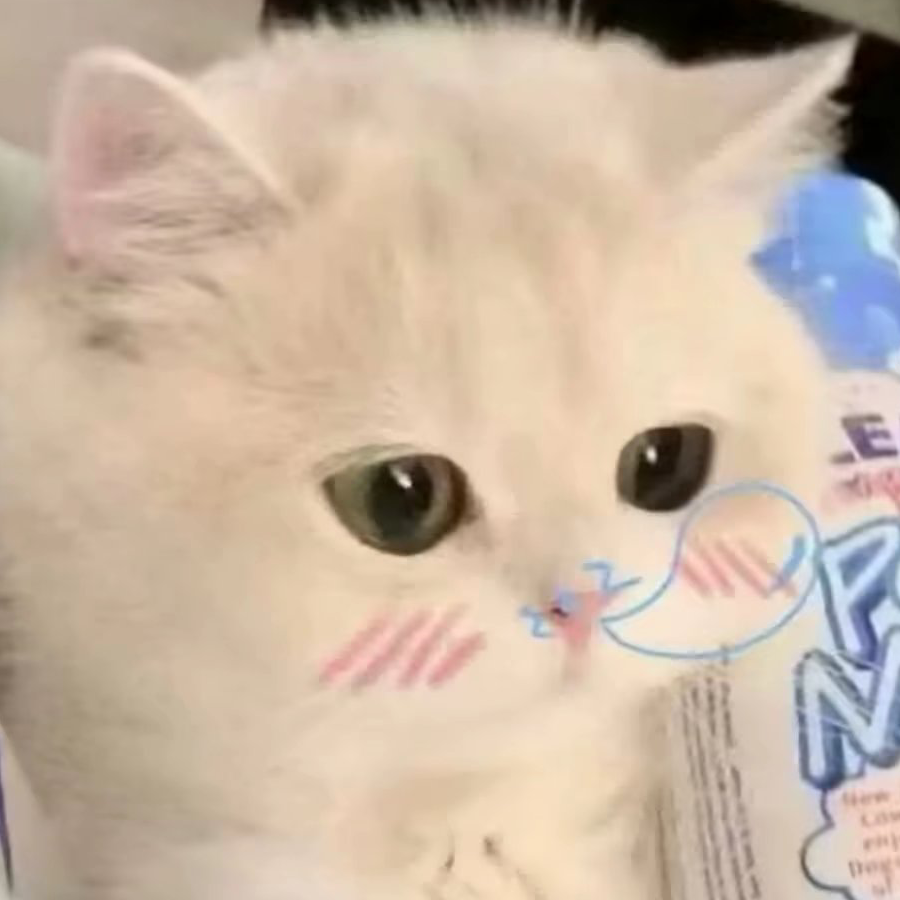 韦家欣