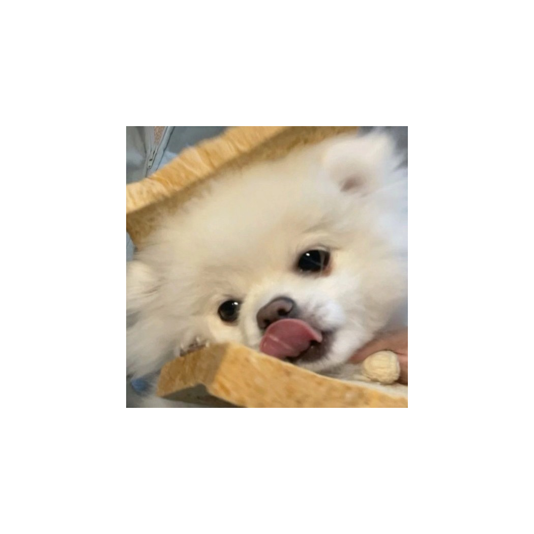 现在拥抱