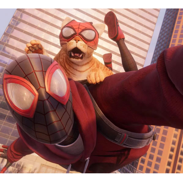 香肠中的机械喵