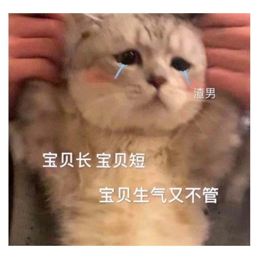 世界好像都变高了