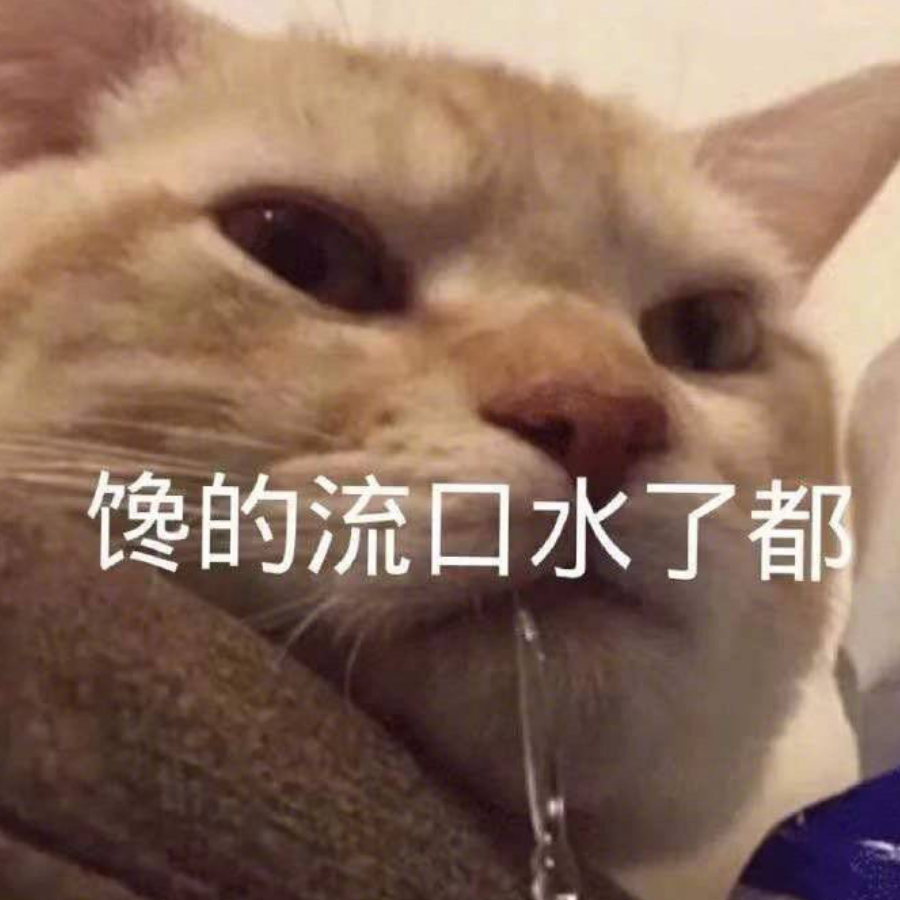 猫子