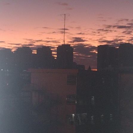 苏辰
