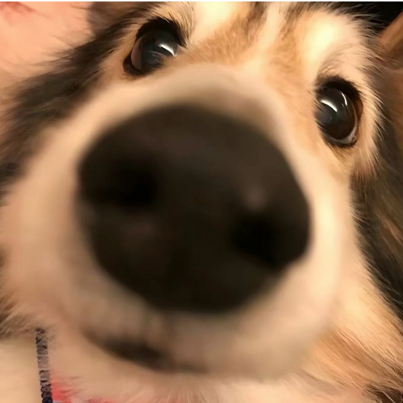 十年♥