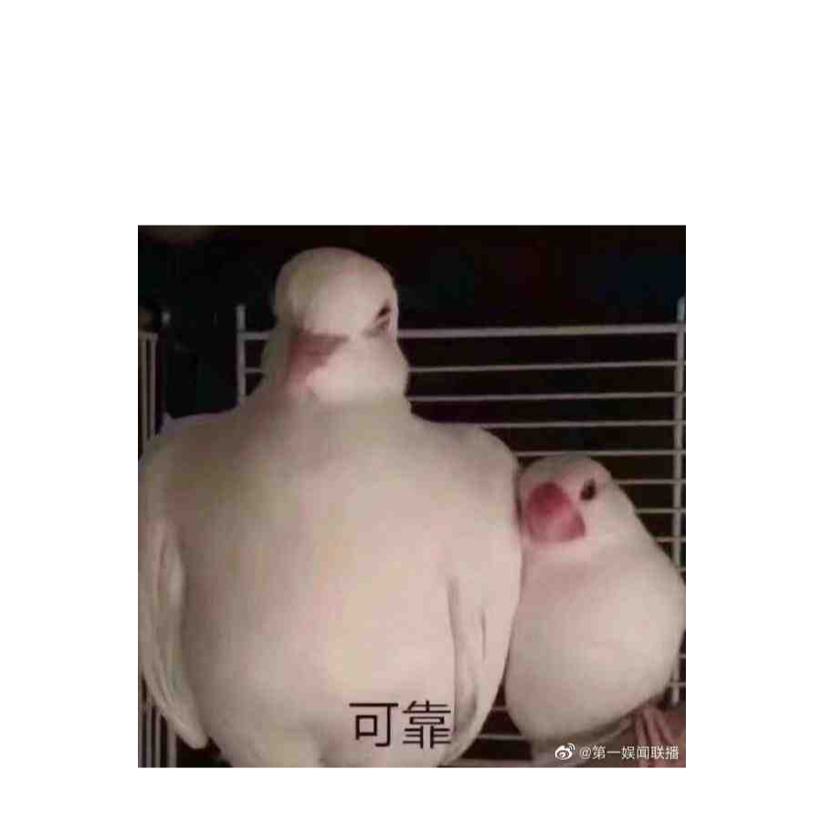 手机用户67776324