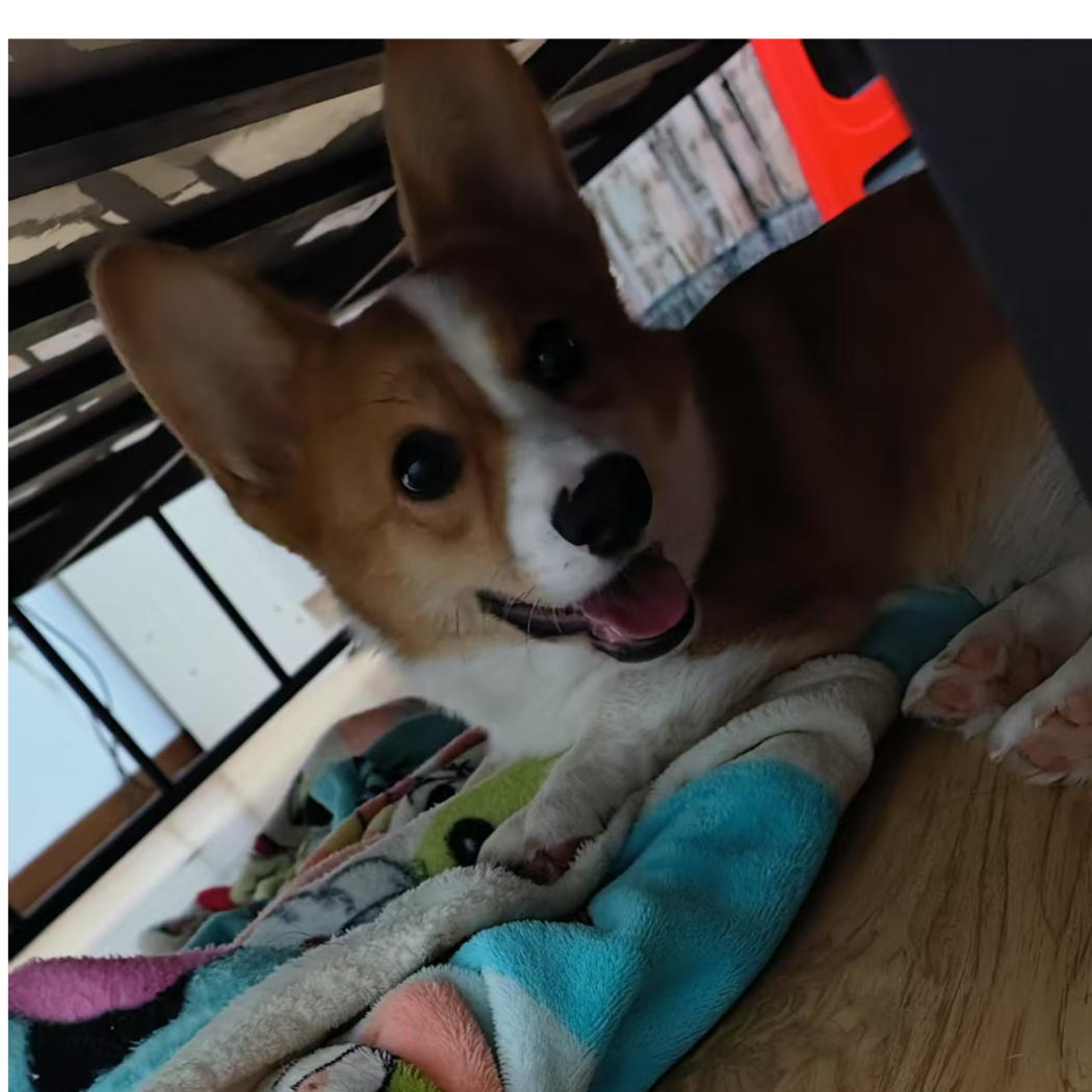 你好，我叫等等