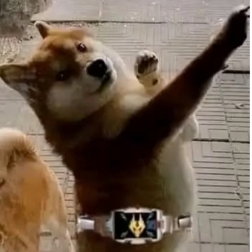 朱凤年