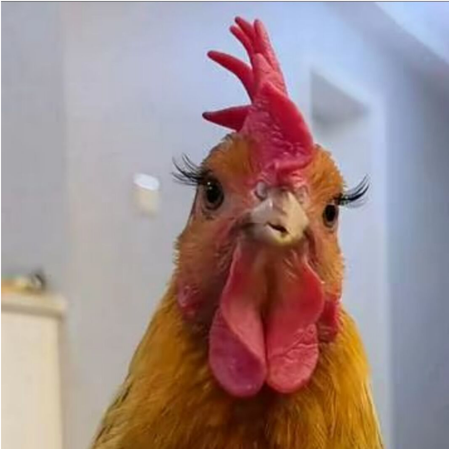 ·