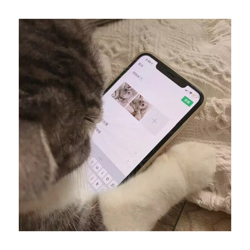 老boy