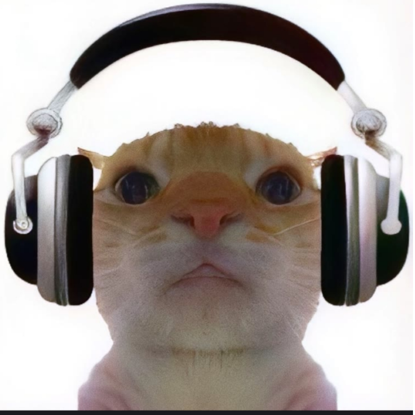 小猫牢底☄ฺ