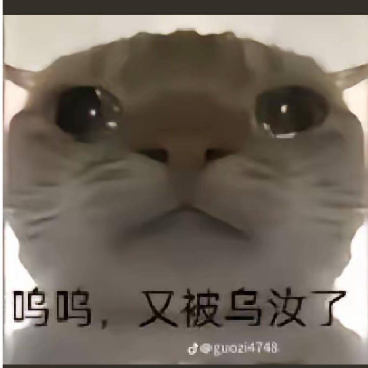 球球星人