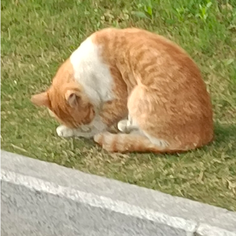 聆听