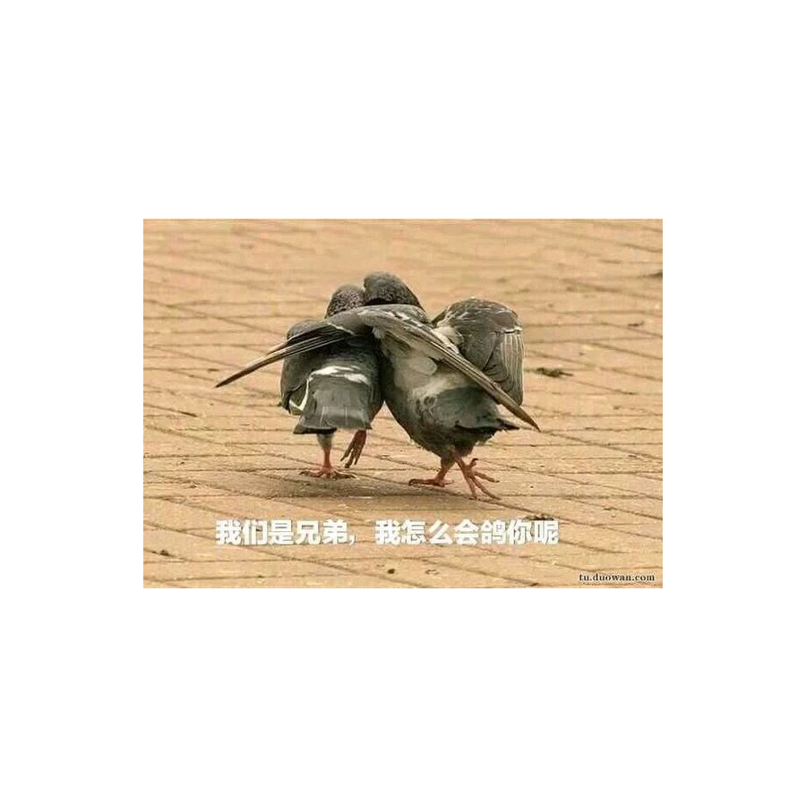 汐一熙