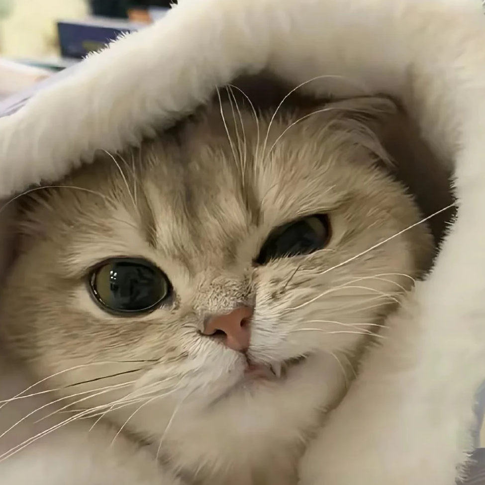九溪