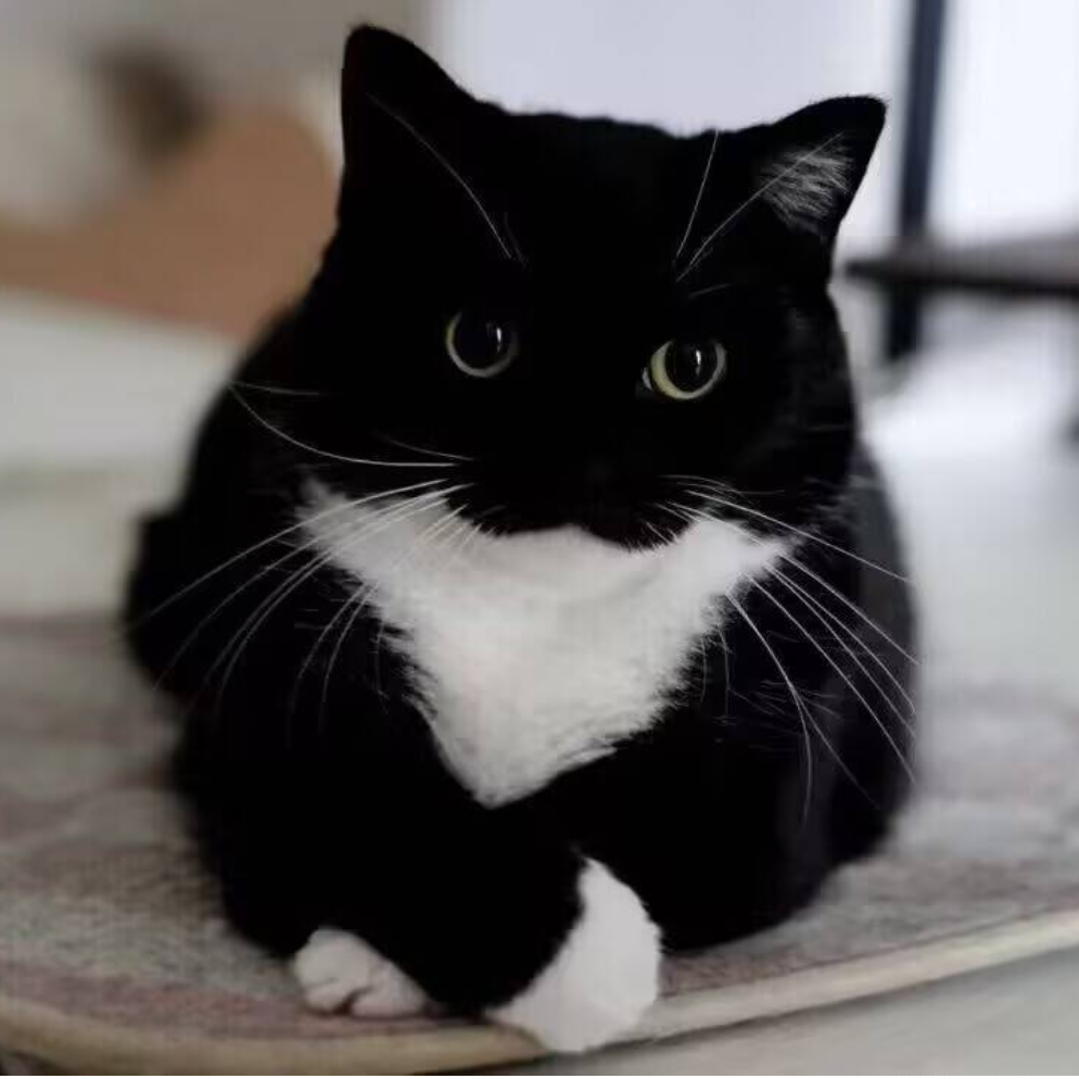 丰骆