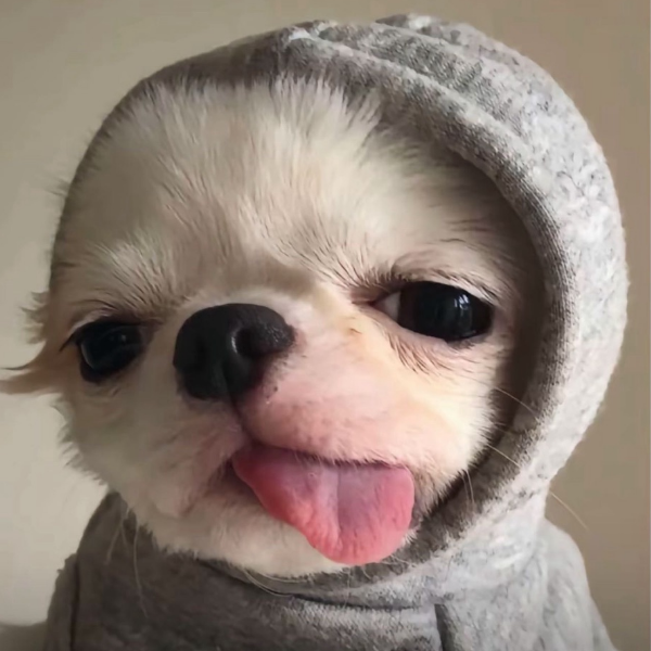 口凸口