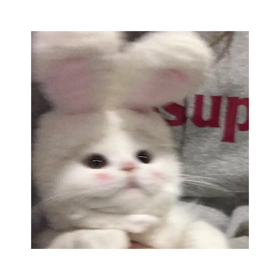 圭寓