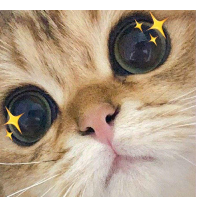 _翎