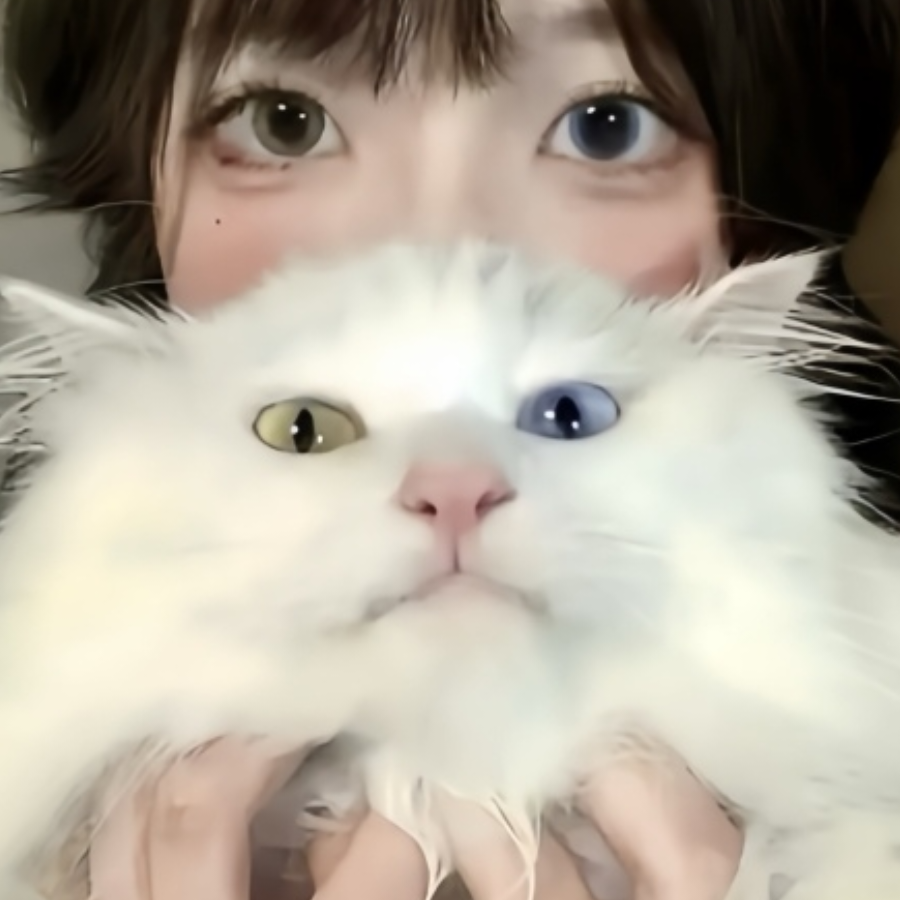 小丁