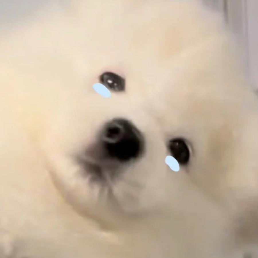 小羊
