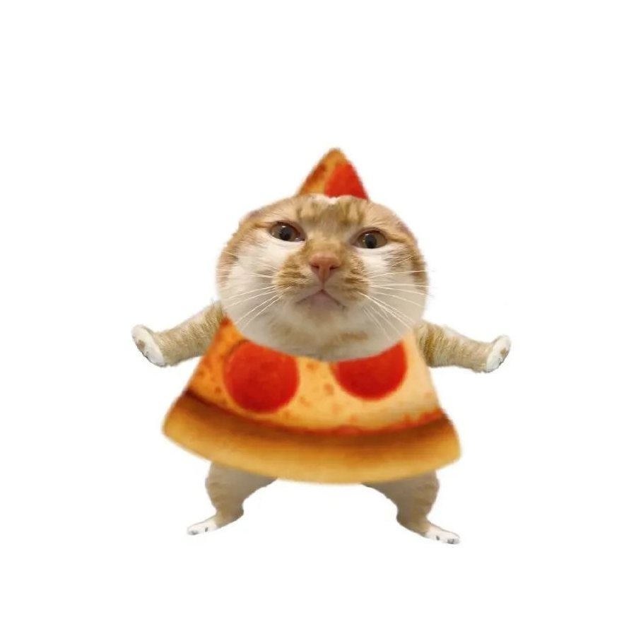 野营