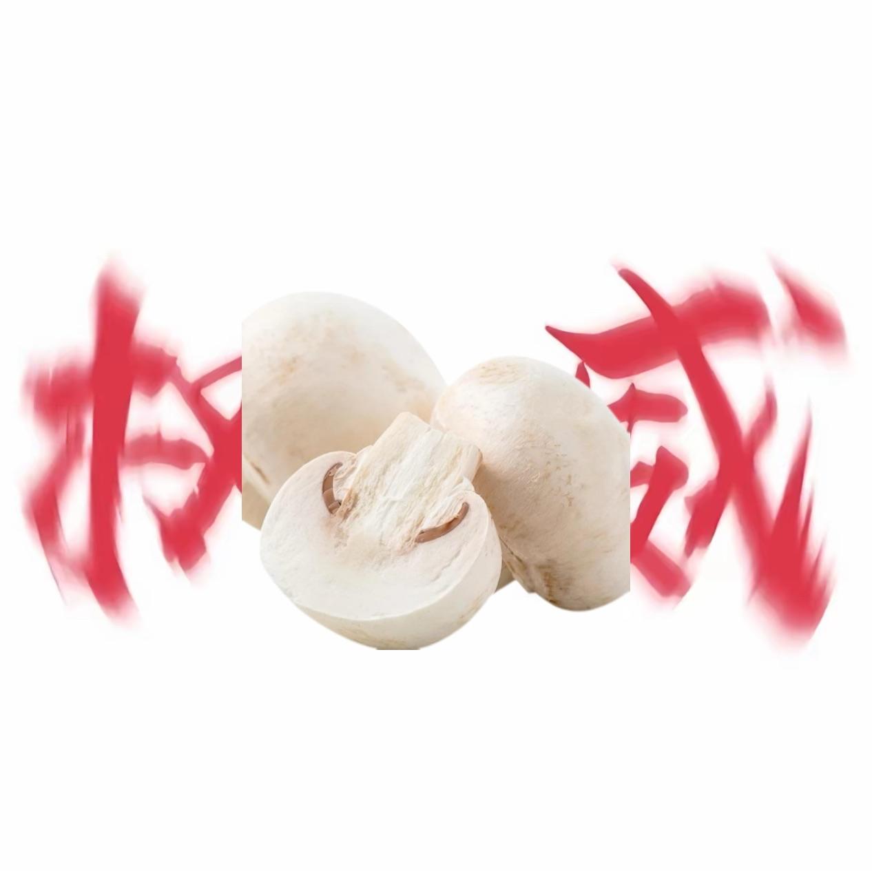 权威的蘑菇