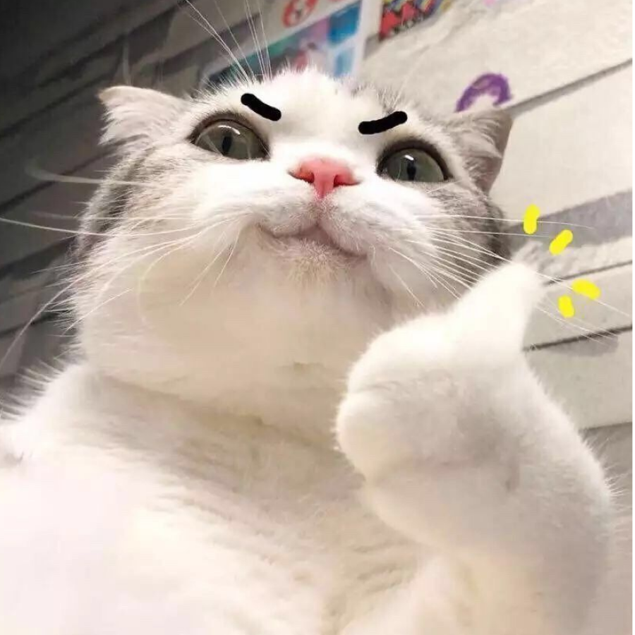 ╭ァ公告：此人伤不起゛