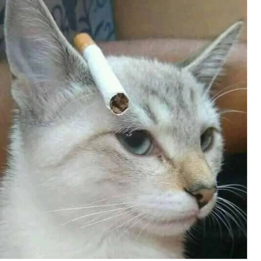 hansun