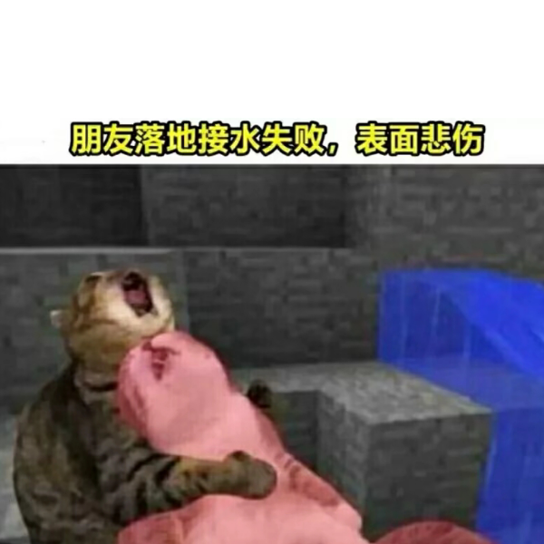 我真的会谢