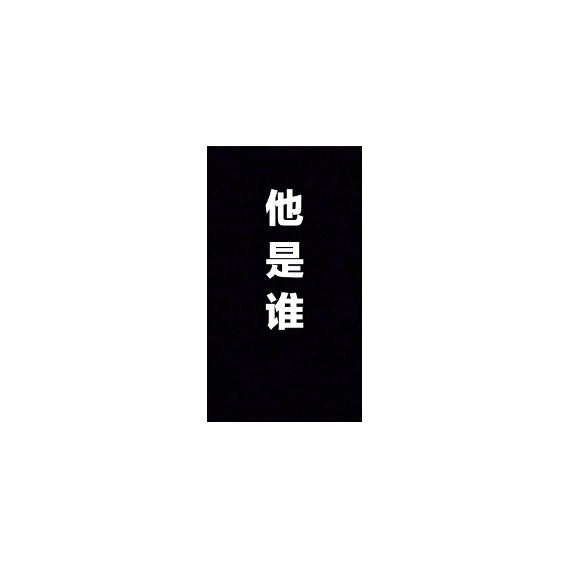 BWIKI攻略组神秘人-魏什么