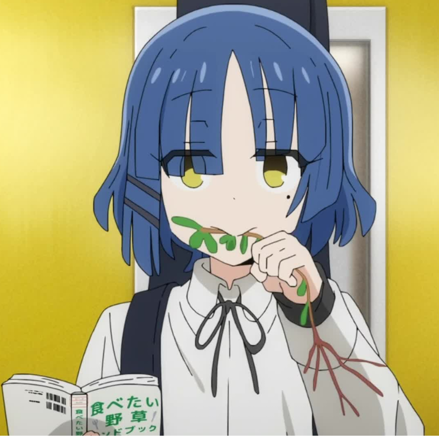 吔草仙贝