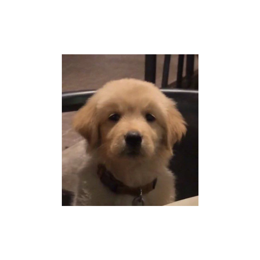 。。。
