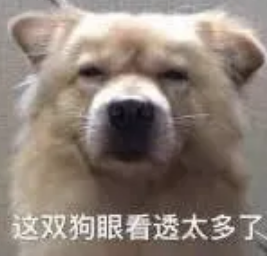 清清歌