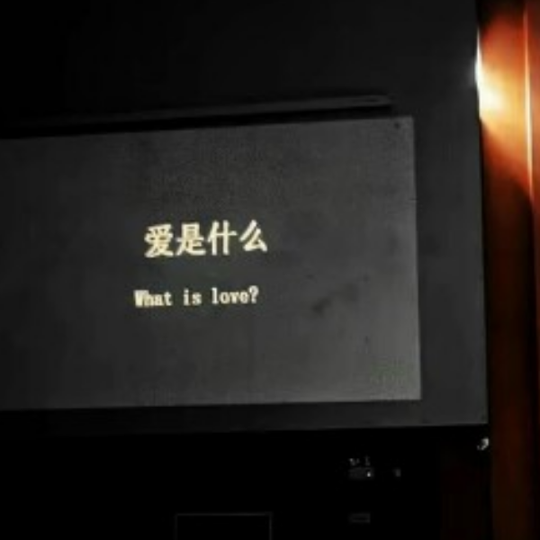 保尔柯察金．