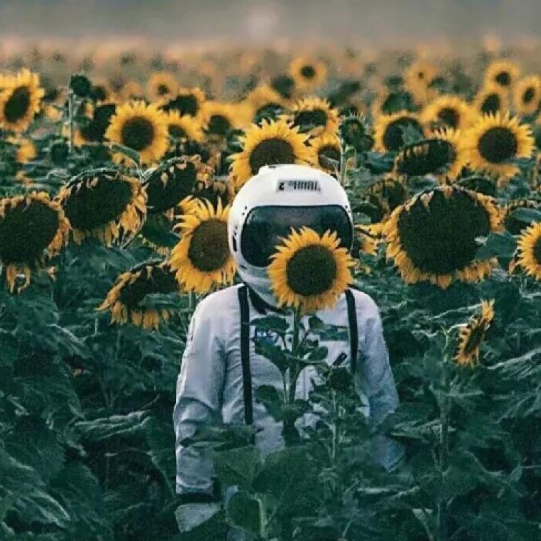 酒逢知己千杯少