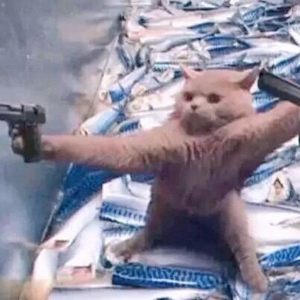 手机用户107377233