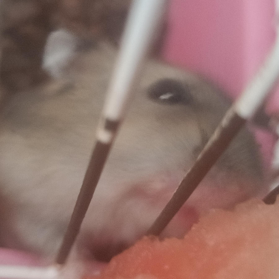 涵