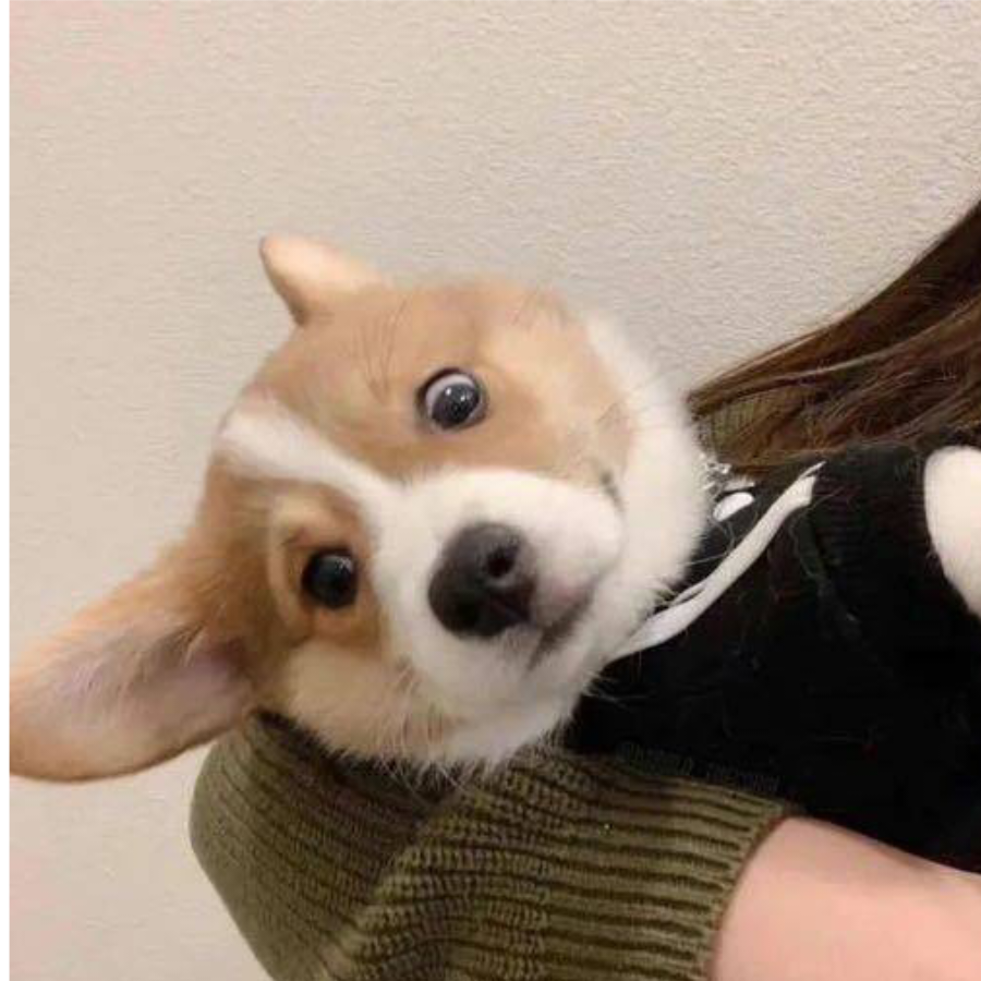 桃之