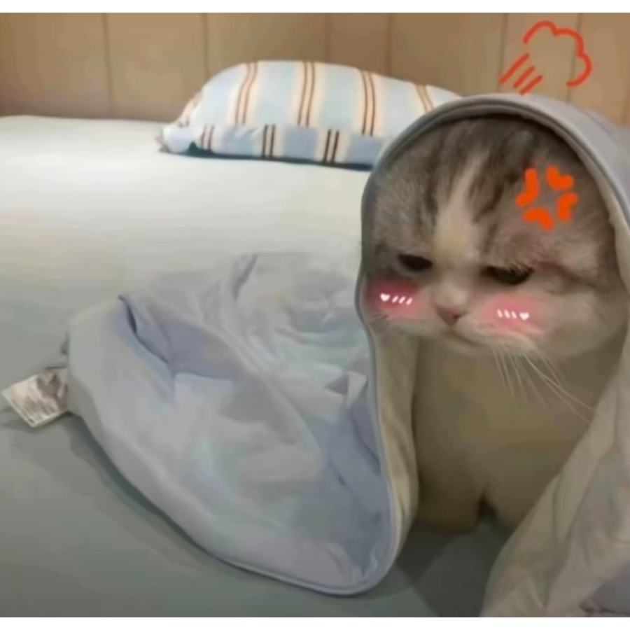 清晨微雨