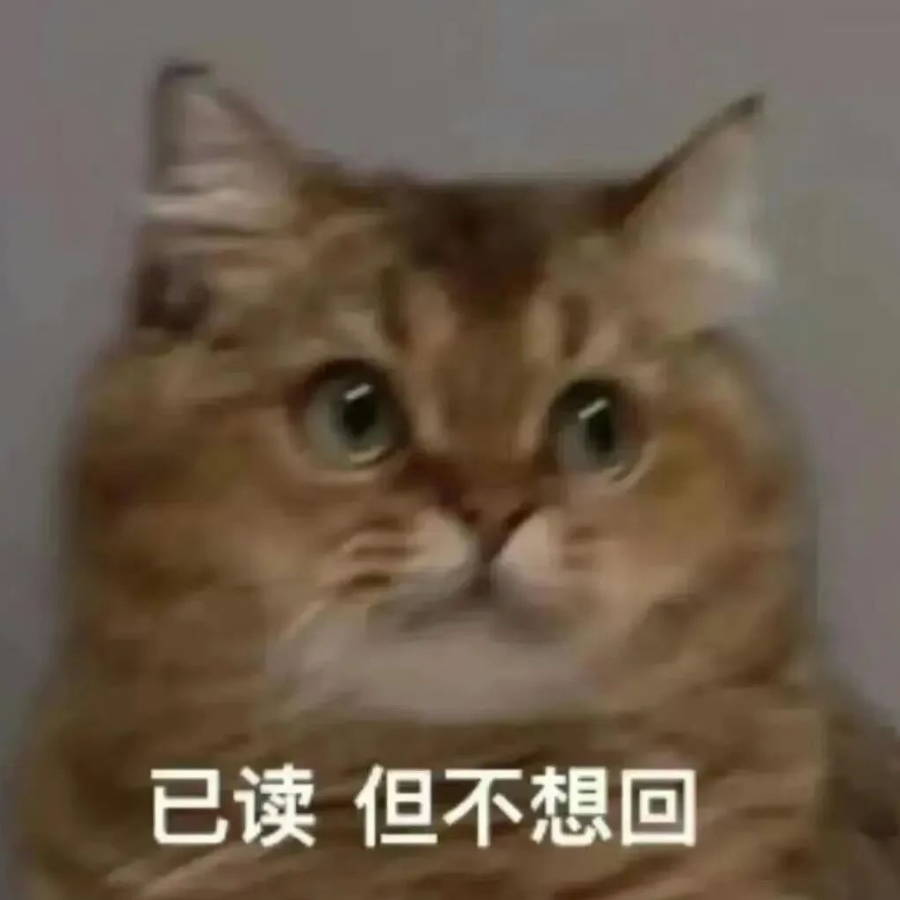 猫猫炼丹腌入味