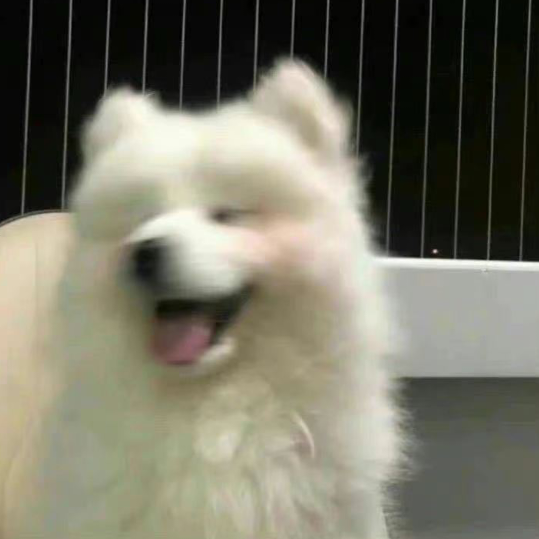 小羊