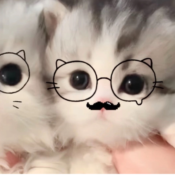 手机用户51873503