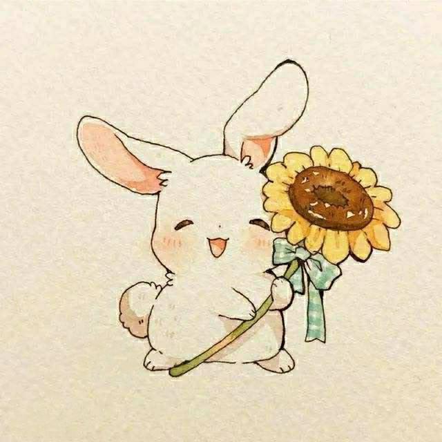 云中