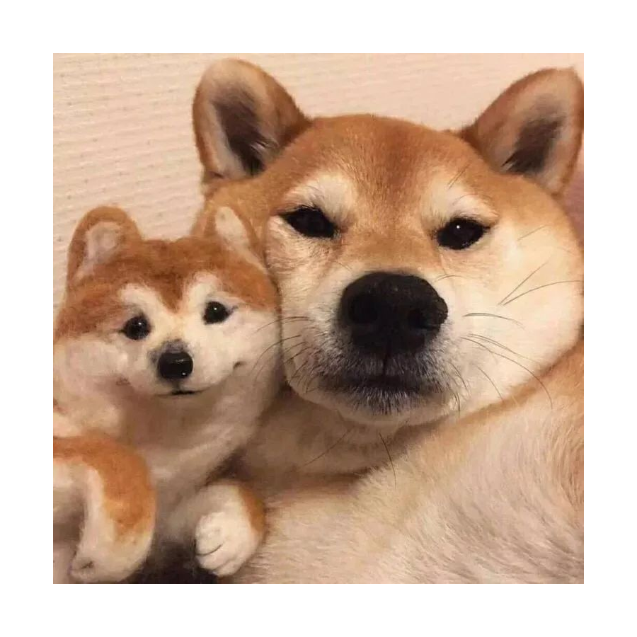 长辞