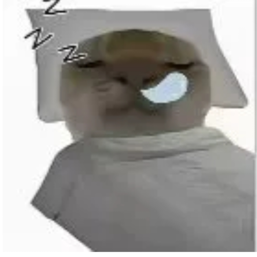 倒霉蛋哈哈哈