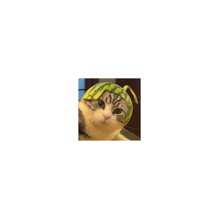 墨客