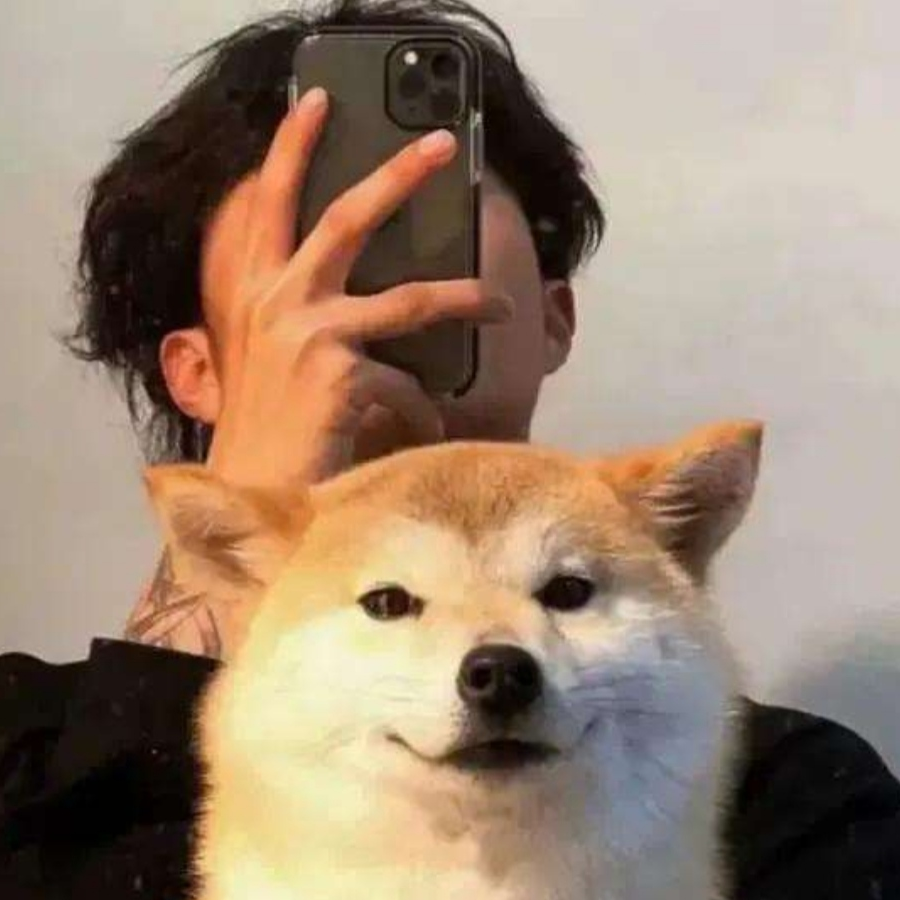 龙
