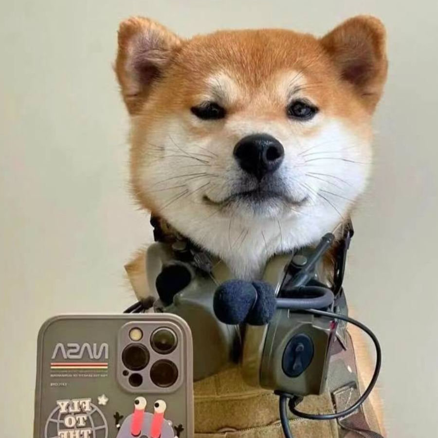 丹参枸k