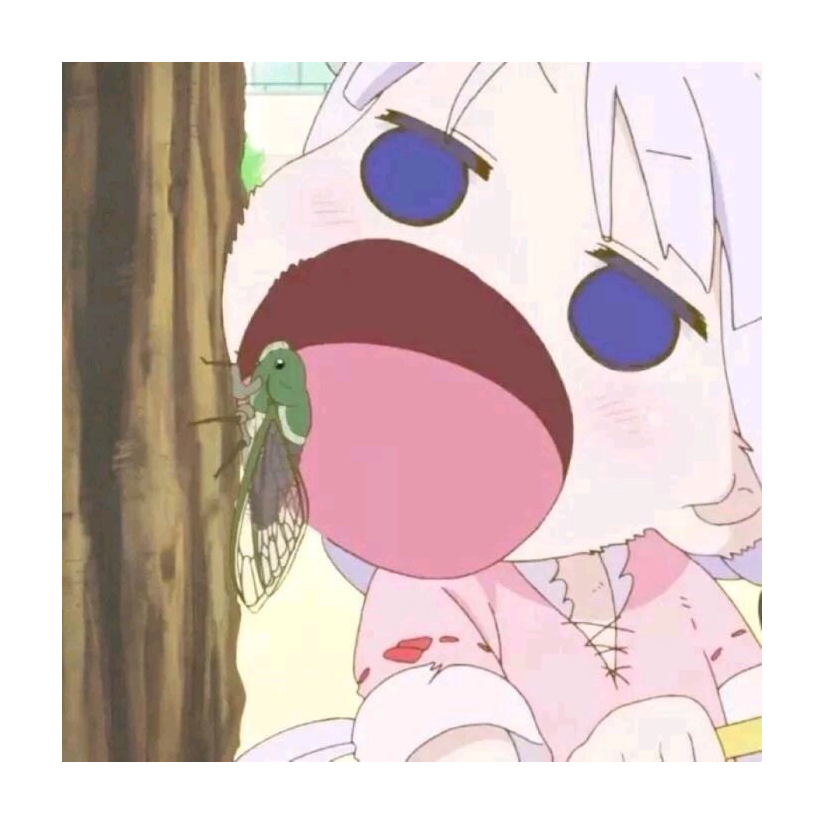 蓝胖子