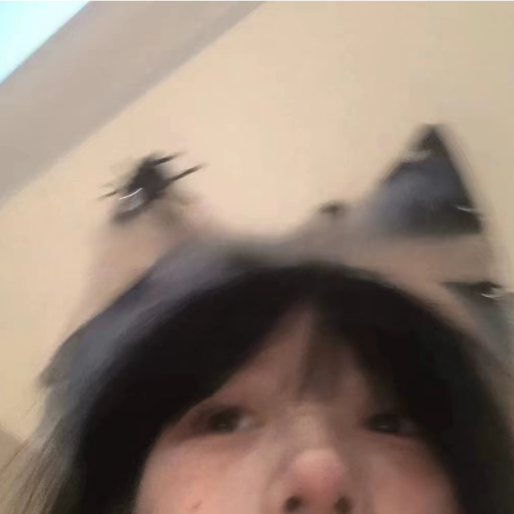 林朝